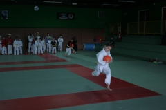 Mercredi-Gras_250