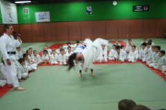 IMG_0599-scaled