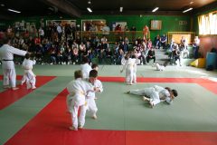 IMG_0656-scaled