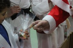 Judo_pour_tous_10
