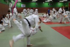 Judo_pour_tous_109