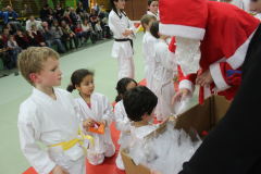 Judo_pour_tous_3