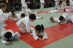 Judo_pour_tous_51