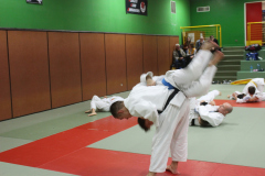 Judo_pour_tous_80
