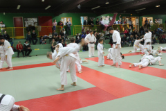 Judo_pour_tous_81
